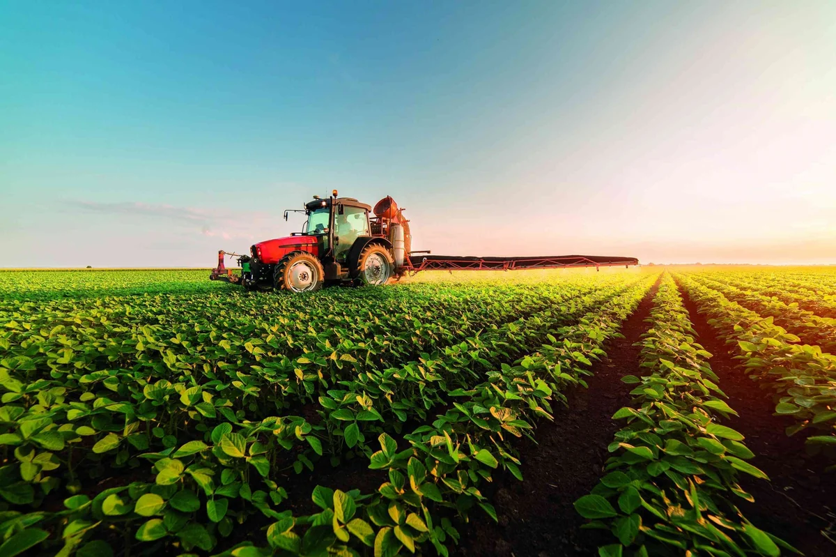 Аграрный сектор в Азербайджане вырос почти на 1%