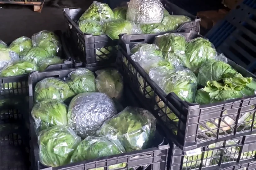 Külli miqdarda narkotikin gömrük sərhədindən keçirilməsinin qarşısı alınıb