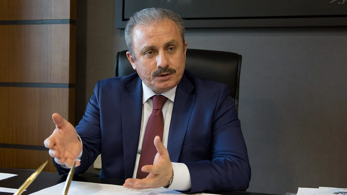 Turkish parliament speaker: We will be by Azerbaijan's side in Karabakh issue to the end