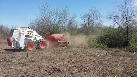 Cocuq Mərcanlıda gün ərzində 1037 ədəd qəlpə aşkar edilib