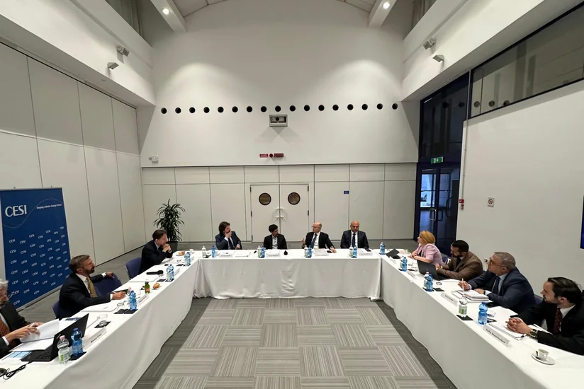 Azərbaycan İtaliya şirkəti ilə “yaşıl enerji dəhlizi” üzrə əməkdaşlığı müzakirə edib