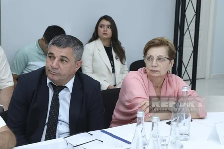 Bəzi ərazilərdə yaşıllıqların və quruyan tinglərin götürülməsi müzakirə olunub