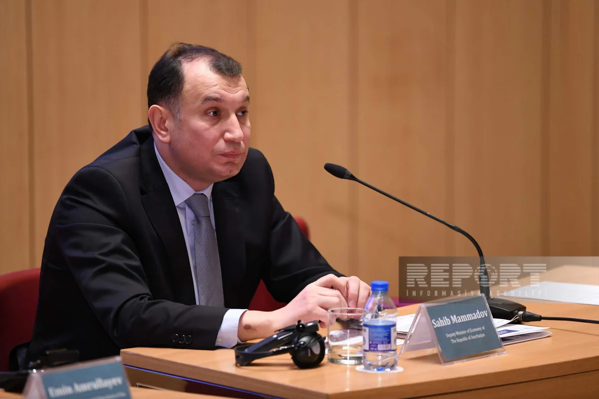 Sahib Məmmədov: İqtisadiyyatımızla bağlı hesablamalar özünü doğruldur