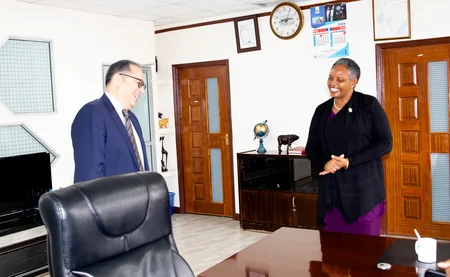Azerbaijani envoy mulls COP29 with head of Kenya institute