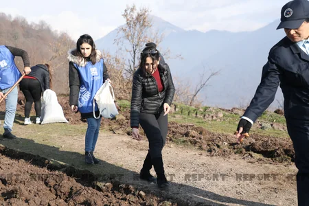 Qəbələnin yanğına məruz qalmış meşə sahəsinə ağac toxumları səpilib