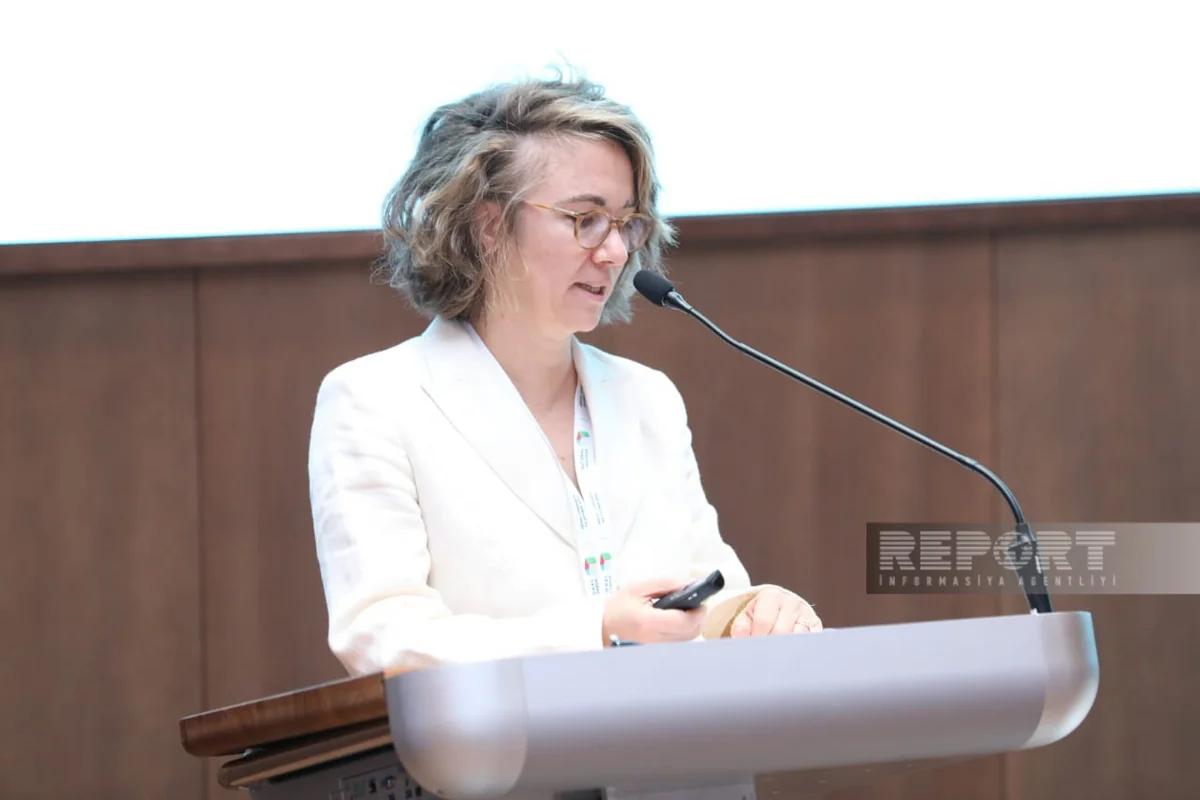 Kovari: Azerbaijan aims to ensure comfortable and safe life in liberated territories