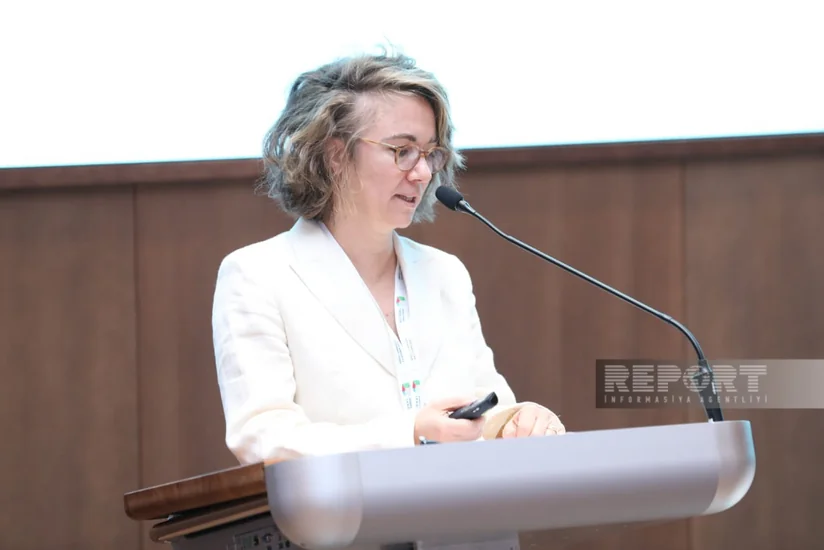 Kovari: Azerbaijan aims to ensure comfortable and safe life in liberated territories