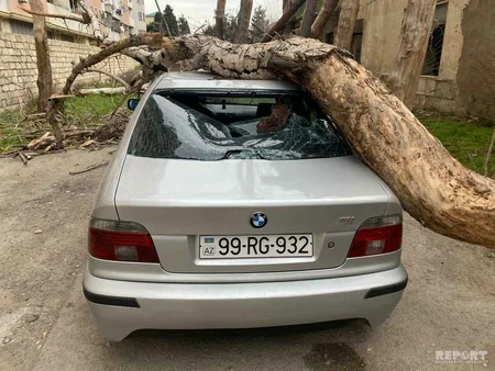 Bakıda xəstəxananın həyətində avtomobilin üzərinə ağac düşdü - FOTO - VİDEO