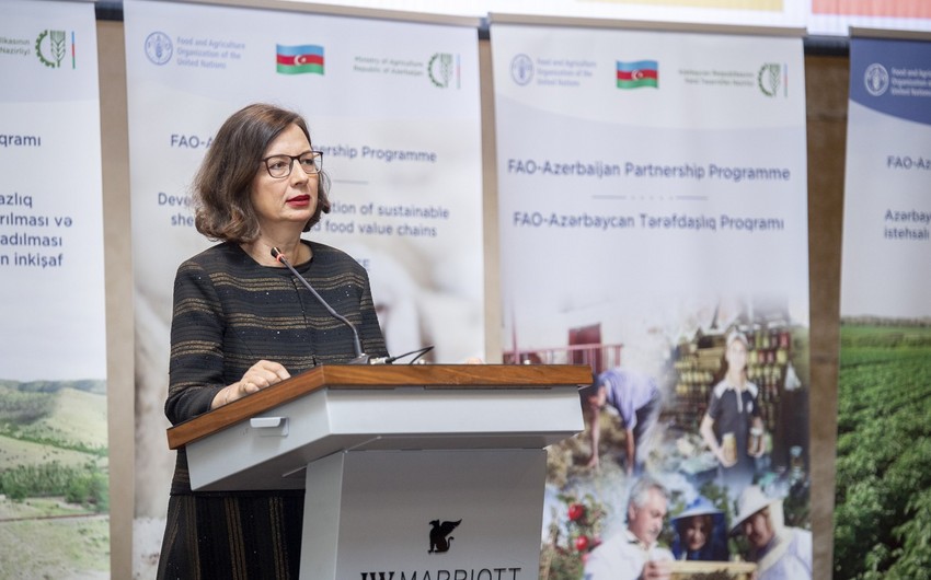 FAO Azərbaycanla birgə reallaşdırdığı Tərəfdaşlıq Proqramından gözləntisini açıqlayıb