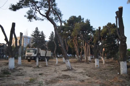 BŞİH: Atatürk parkında əsaslı təmir-yenidənqurma işləri aparılır