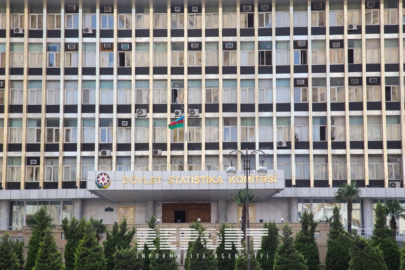 DSK: Bu il əkin sahələrindən 14% daha çox məhsul götürülüb