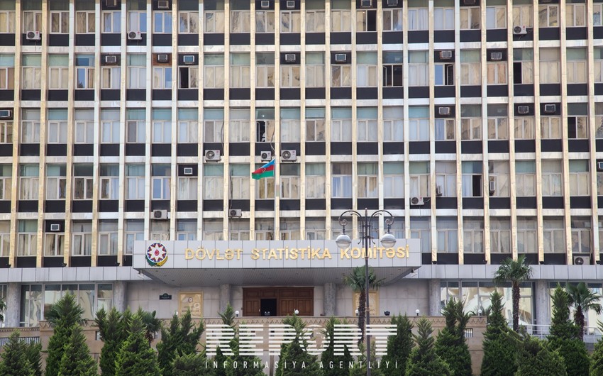 DSK: Bu il əkin sahələrindən 14% daha çox məhsul götürülüb