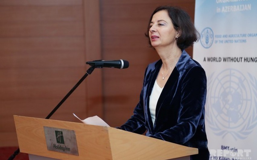 FAO to provide support to Azerbaijan in export of agricultural products