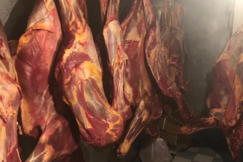 Qurban bayramı günlərində 851 kq istifadəyə yararsız ətin satışının qarşısı alınıb