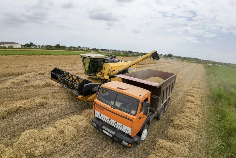 Azərbaycanda taxıl zəmilərinin 73 %-də biçin başa çatıb