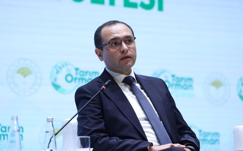 Məcnun Məmmədov: Fermer yönümlü siyasət formalaşdırılmalıdır
