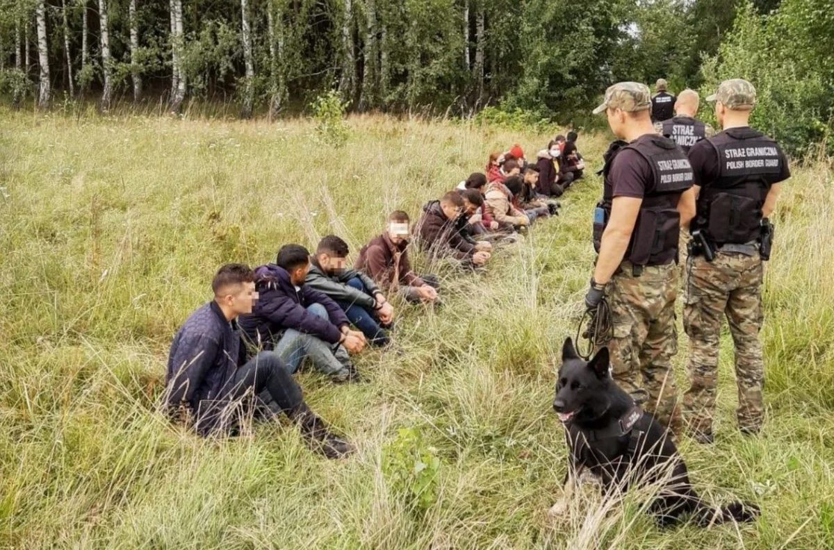 Польские пограничники не впустили 148 нелегалов из Беларуси за сутки