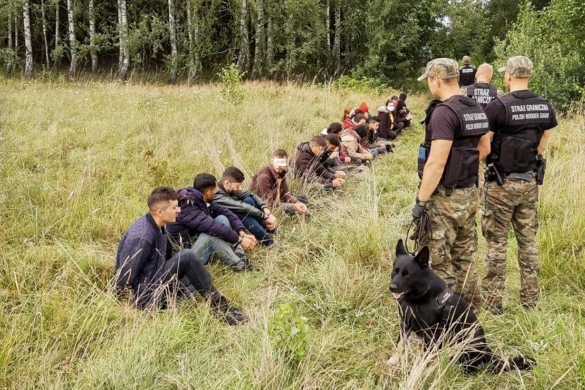 Польские пограничники не впустили 148 нелегалов из Беларуси за сутки
