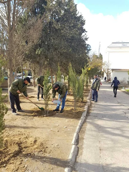 Bakıda qurumuş və təhlükə yaradan ağaclar 2000-dən çox müxtəlif cinsli ağacla əvəzlənib
