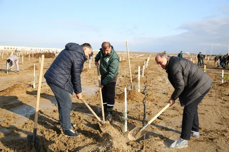 Tree-planting campaign held on 30th anniversary of New Azerbaijan Party