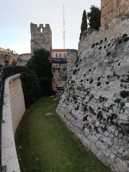 Israel: Making desert a paradise