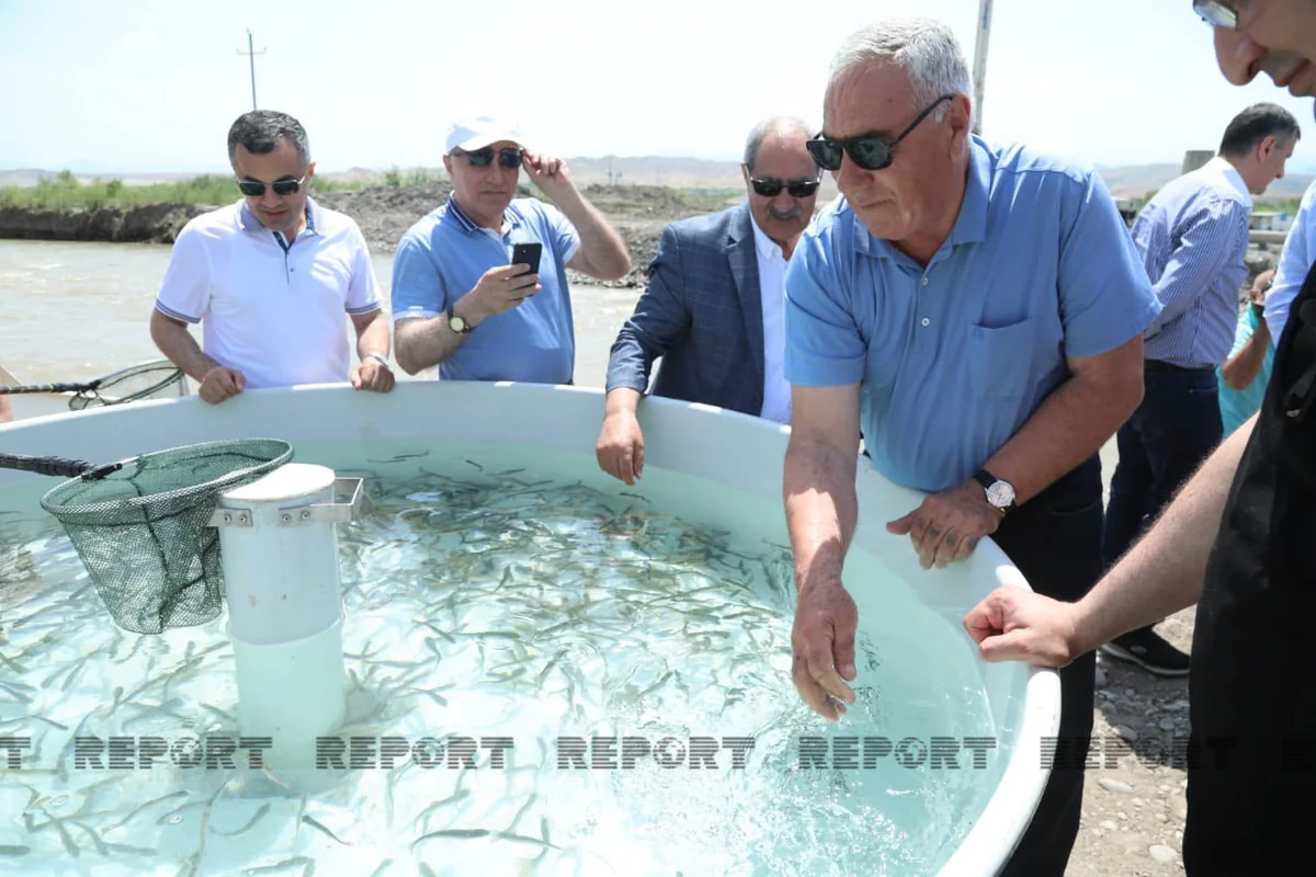Partiya sədrləri Həkəri çayına balıq buraxıblar