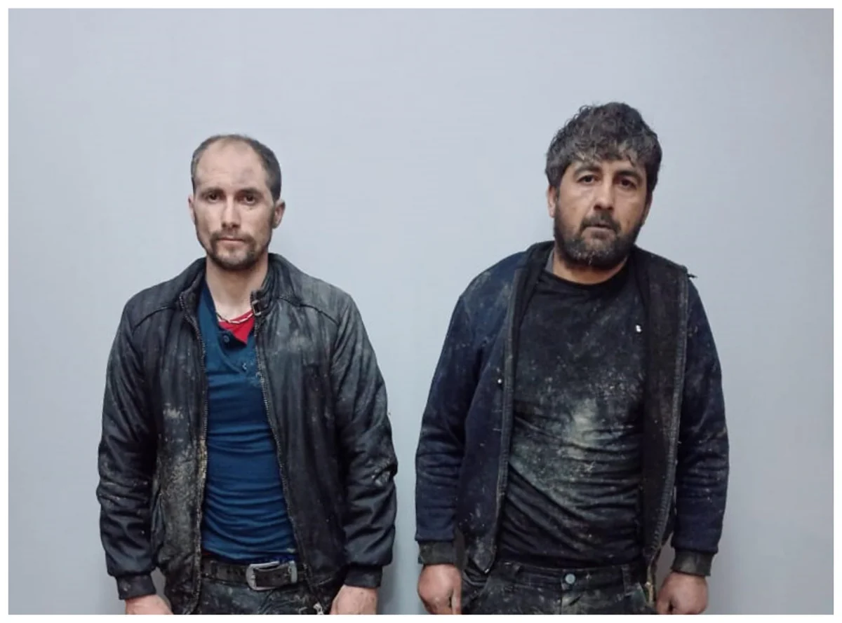 ГПС: Задержаны пытавшиеся сбежать нарушители границы