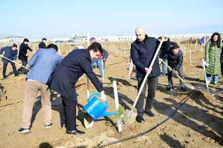 Tree-planting campaign held on 30th anniversary of New Azerbaijan Party