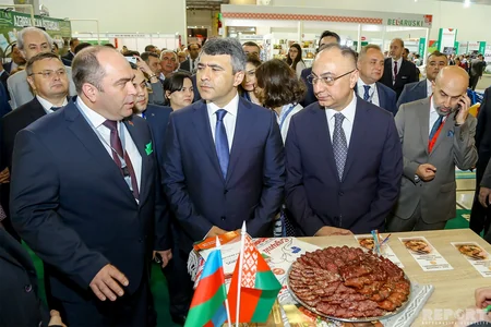 31 ölkəni birləşdirən sərgidən  - FOTOREPORTAJ