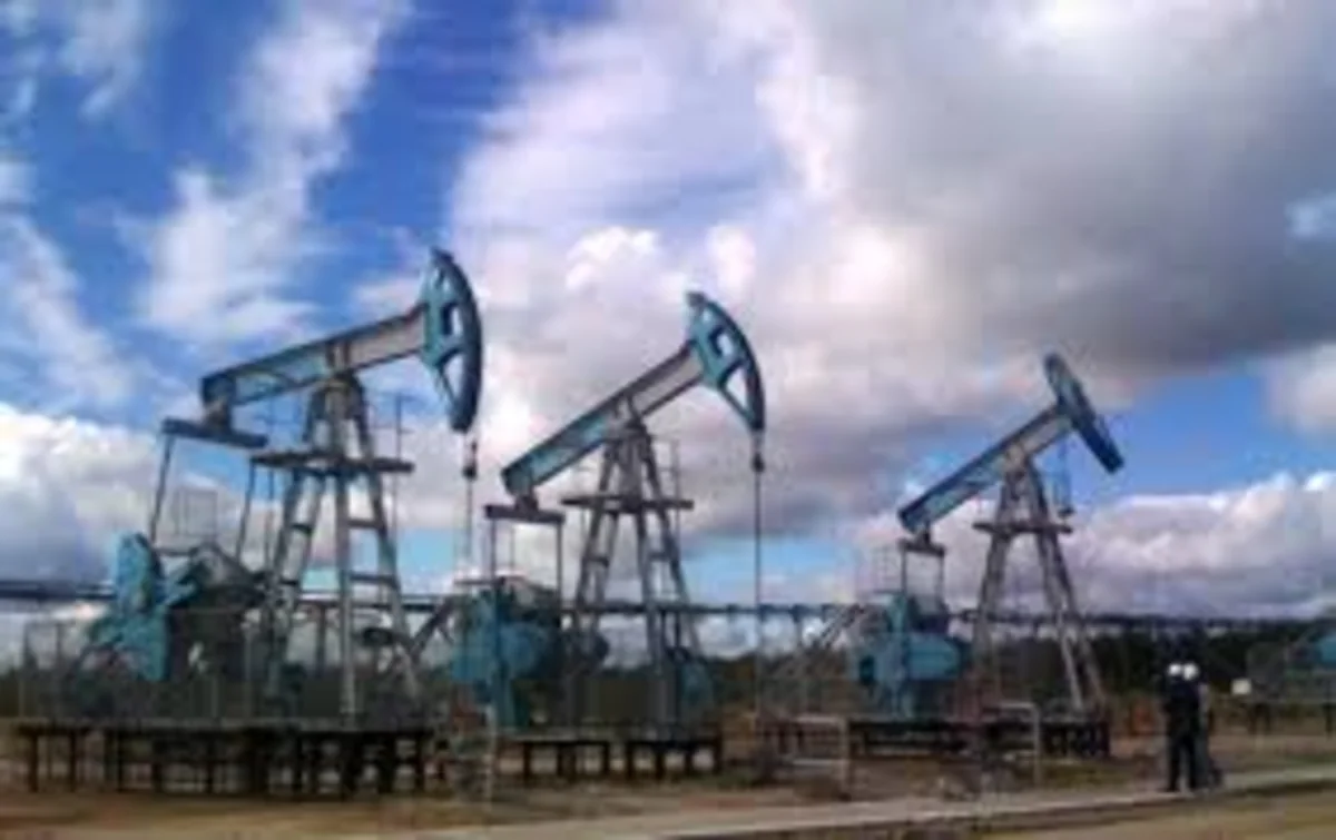 Министр нефти Саудовской Аравии приветствовал развитие сланцевой отрасли