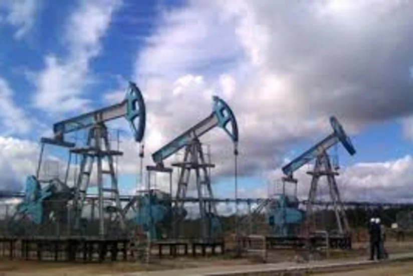 Министр нефти Саудовской Аравии приветствовал развитие сланцевой отрасли