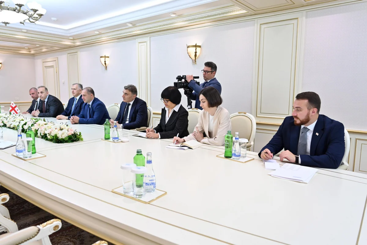 Sahibə Qafarova Gürcüstan parlamentinin nümayəndə heyəti ilə görüşüb
