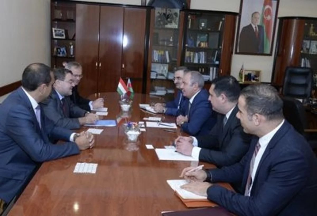 Macarıstanın İT şirkətləri Azərbaycana investisiya qoyuluşuna maraq göstərir