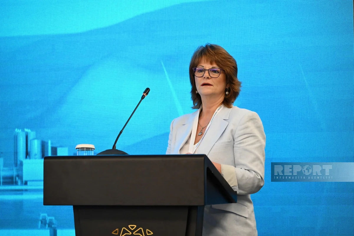 IMF: Azerbaijan prioritizes climate cooperation