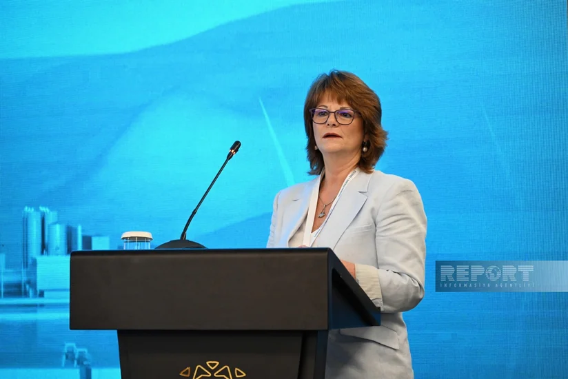 IMF: Azərbaycan iqlim mövzusunda əməkdaşlıq məsələsinə xüsusi diqqət yetirir