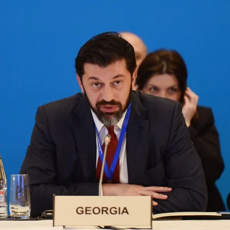 ​İlham Əliyev Cənub qaz dəhlizi Məşvərət Şurası çərçivəsində nazirlərin görüşündə iştirak edib
