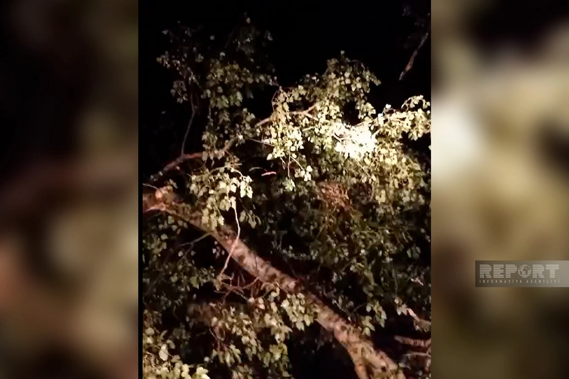 Qaxda magistral yol açılıb - YENİLƏNİB