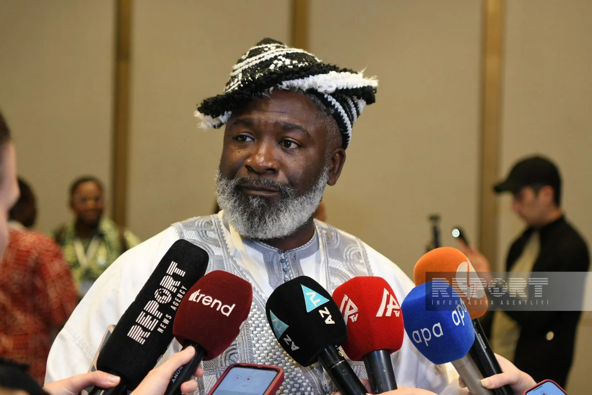 Melvin Vaciri: Azərbaycan vətəndaş cəmiyyətinin qlobal proseslərə cəlb edilməsi məsələsində nümunəvi ölkədir