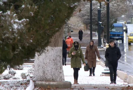 Naxçıvan şəhərinə ilk qar yağıb 