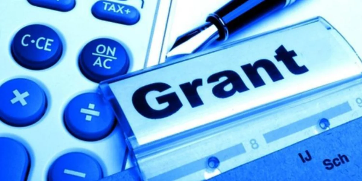 Azərbaycanda toxum istehsalçılarına qrantın hansı şərtlərlə veriləcəyi açıqlanıb