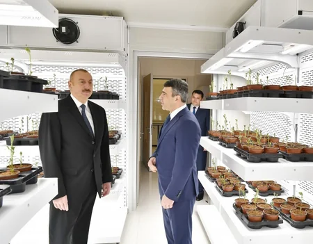 Prezident İlham Əliyev Tərəvəzçilik Elmi-Tədqiqat İnstitutunun açılışında iştirak edib - YENİLƏNİB