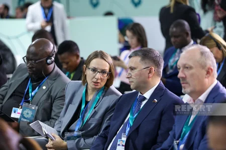 Promoting fair approach to combating climate change discussed at parliamentary meeting in Baku