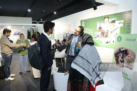 На COP29 представлены павильоны разных стран