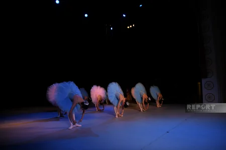 Əlilliyi müəyyən edilmiş uşaqlar üçün konsert proqramı təşkil olunub