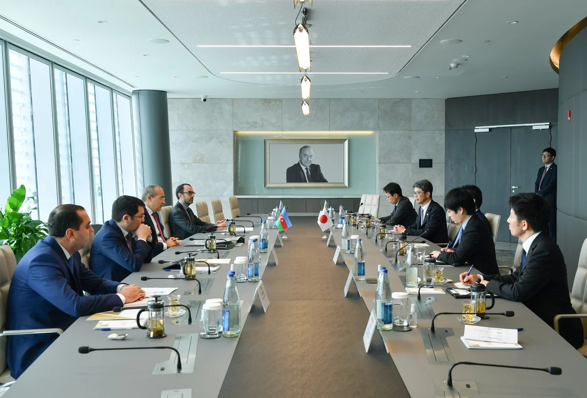 Azerbaijan, Japan mull elimination of double taxation