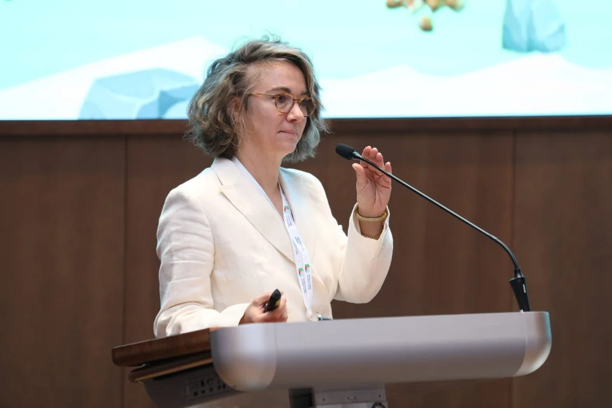 İsveçrə şirkəti Zəngilan, Kəlbəcər və Qubadlı şəhərlərinin Baş planları üzərində işləyir