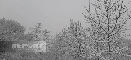 Şuşaya qar yağır, yollar təmizlənir 