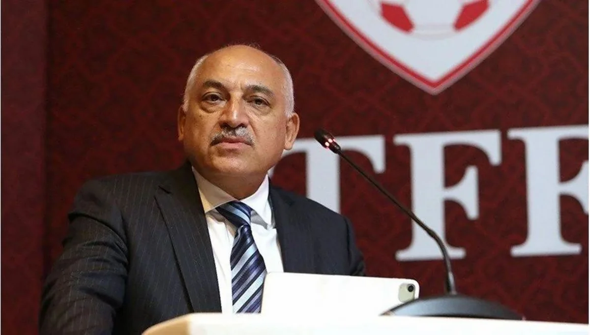 Türkiyə klubları federasiya prezidentinin istefasını tələb edirlər
