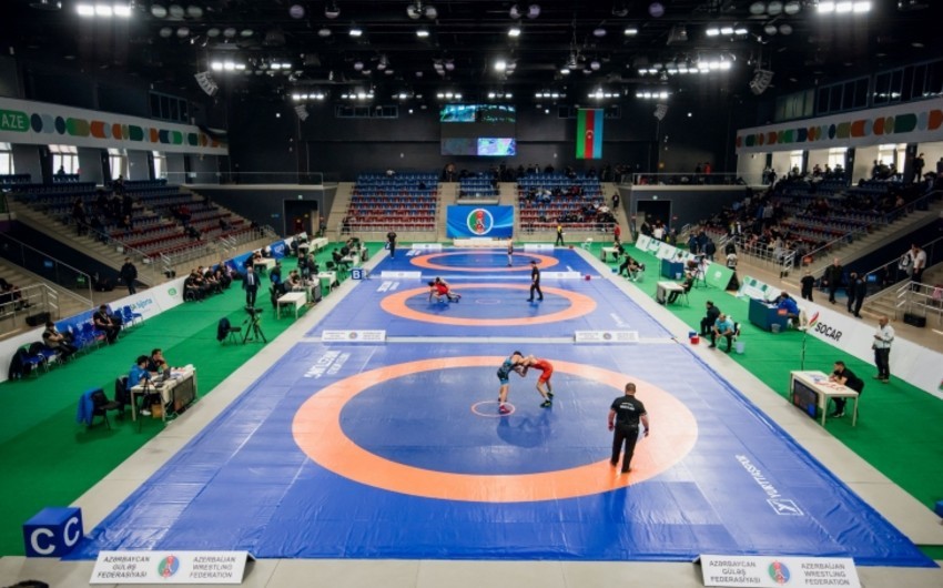 Azərbaycanın üç güləşçisi Bakıdakı Avropa çempionatında medal görüşünə çıxacaq