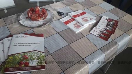 Kürdəmirdə Nar Sərgi-Satış Yarmarkası keçirilib